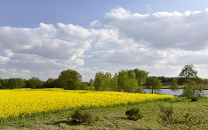 &copy; Emsland Tourismus